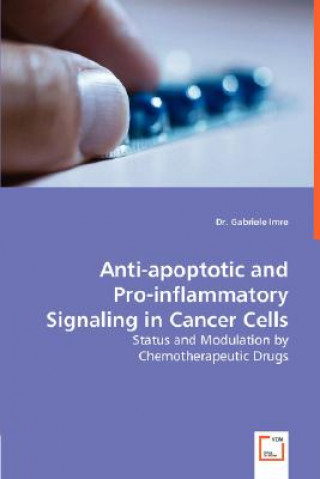 Könyv Anti-apoptotic and Pro-inflammatory Signaling in Cancer Cells - Status and Modulation by Chemotherapeutic Drugs Gabriele Imre