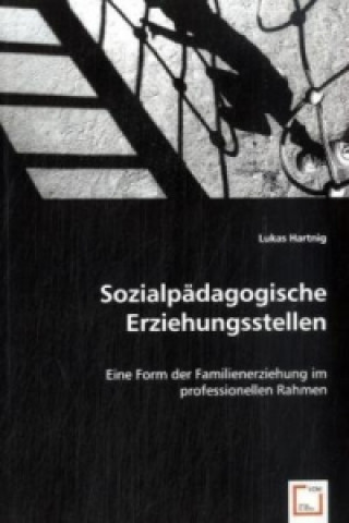 Könyv Sozialpädagogische Erziehungsstellen Lukas Hartnig