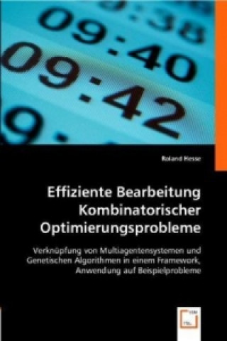 Книга Effiziente Bearbeitung Kombinatorischer Optimierungsprobleme Roland Hesse