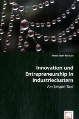 Livre Innovation und Entrepreneurship in Industrieclustern: am Beispiel Tirol Franz-Josef Perauer