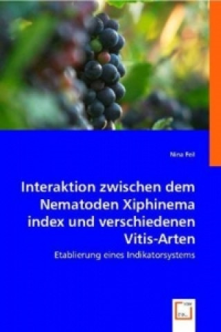 Kniha Interaktion zwischen dem Nematoden Xiphinema index und verschiedenen Vitis-Arten Nina Feil