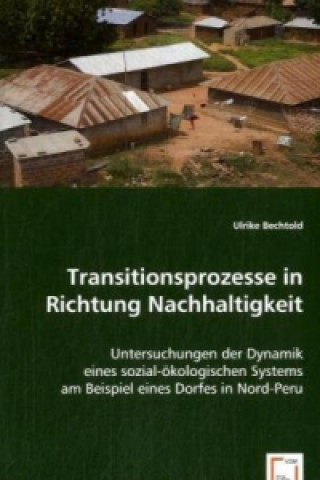 Kniha Transitionsprozesse in Richtung Nachhaltigkeit Ulrike Bechtold