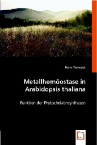 Livro Metallhomöostase in Arabidopsis thaliana Pierre Tennstedt