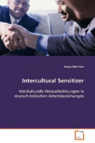 Buch Intercultural Sensitizer Rabea Morrison