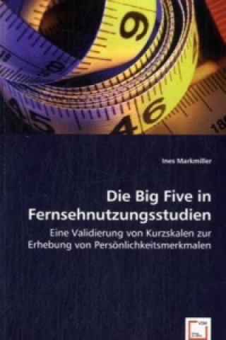 Kniha Die Big Five in Fernsehnutzungsstudien Ines Markmiller