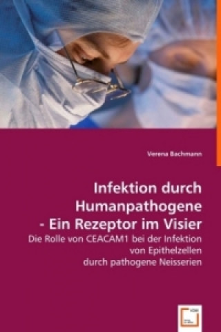 Kniha Infektion durch Humanpathogene - Ein Rezeptor im Visier Verena Bachmann