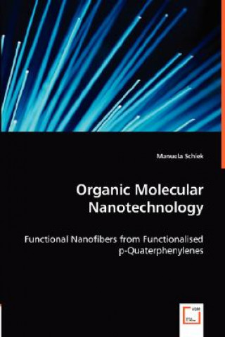 Kniha Organic Molecular Nanotechnology Manuela Schiek