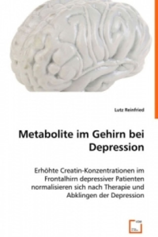 Kniha Metabolite im Gehirn bei Depression Lutz Reinfried