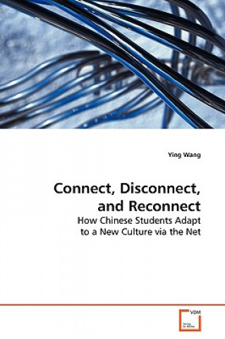 Kniha Connect, Disconnect, and Reconnect Ying Wang