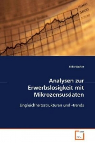 Kniha Analysen zur Erwerbslosigkeit mit Mikrozensusdaten Felix Wolter