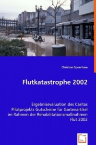 Livre Flutkatastrophe 2002 Christian Spoerhase