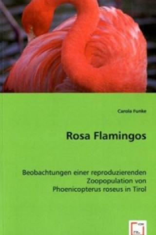 Książka Rosa Flamingos Carola Funke