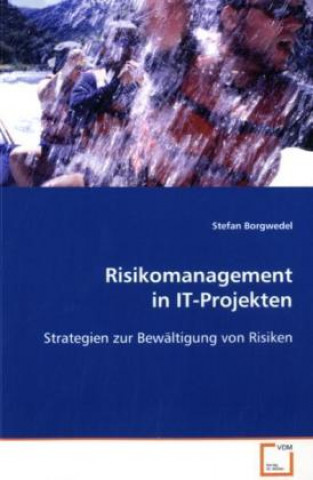 Knjiga Risikomanagement in IT-Projekten Stefan Borgwedel