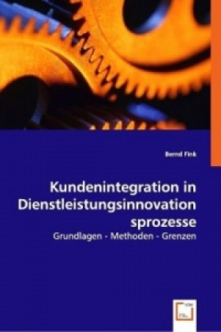 Kniha Kundenintegration in Dienstleistungsinnovationsprozesse Bernd Fink