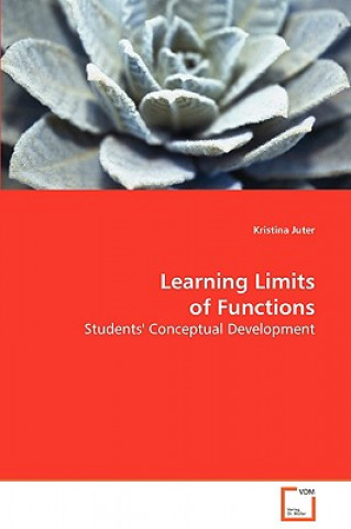 Kniha Learning Limits of Function Kristina Juter