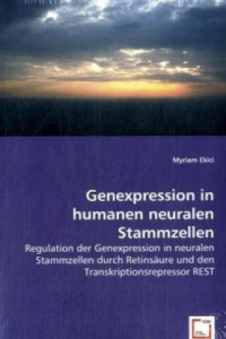 Βιβλίο Genexpression in humanen neuralen Stammzellen Myriam Ekici