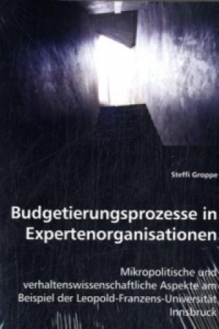 Carte Budgetierungsprozesse in Expertenorganisationen Steffi Groppe