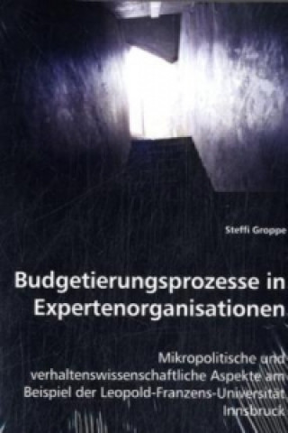 Book Budgetierungsprozesse in Expertenorganisationen Steffi Groppe