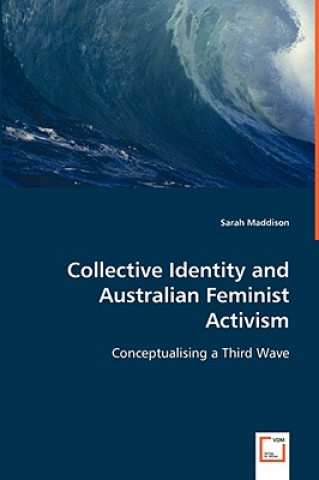 Книга Collective Identity and Australian Feminist Activism Sarah Maddison