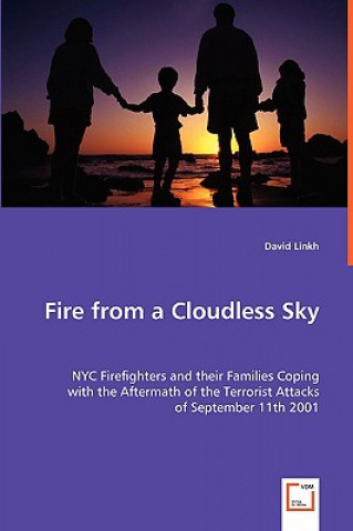 Kniha Fire from a Cloudless Sky - NYC Firefighters and their Families Coping David Linkh