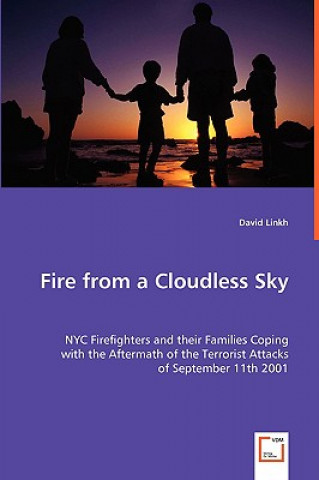 Livre Fire from a Cloudless Sky - NYC Firefighters and their Families Coping David Linkh