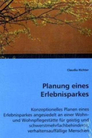 Kniha Planung eines Erlebnisparkes Claudia Richter