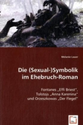 Könyv Die (Sexual-)Symbolik im Ehebruch-Roman Melanie Lauer