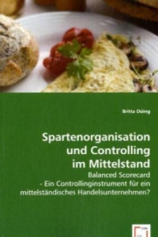 Libro Spartenorganisation und Controlling im Mittelstand Britta Düing