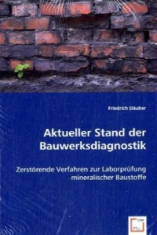 Libro Aktueller Stand der Bauwerksdiagnostik Friedrich Däuber