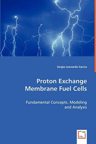 Könyv Proton Exchange Membrane Fuel Cells Sergio L. Garcia