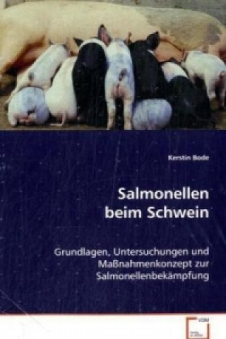 Könyv Salmonellen beim Schwein Kerstin Bode