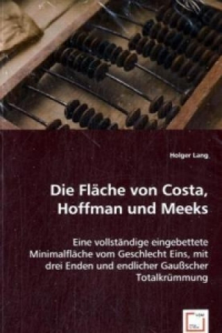 Book Die Fläche von Costa, Hoffman und Meeks Holger Lang