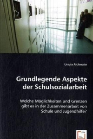 Könyv Grundlegende Aspekte der Schulsozialarbeit Ursula Aichmaier