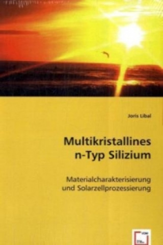 Buch Multikristallines n-Typ Silizium Joris Libal