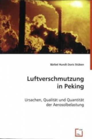 Buch Luftverschmutzung in Peking Bärbel Hundt