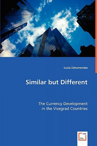 Libro Similar but Different Lucia Zahumenska