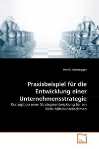 Książka Praxisbeispiel für die Entwicklung einer Unternehmensstrategie Patrik Herrnegger