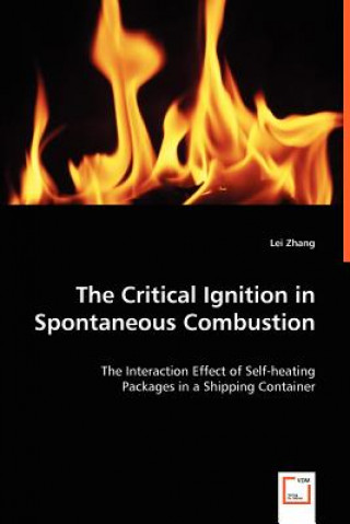 Knjiga Critical Ignition in Spontaneous Combustion Lei Zhang