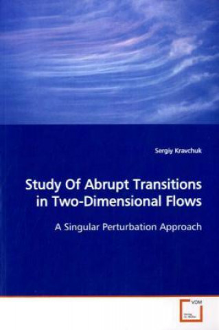 Książka Study Of Abrupt Transitions in Two-Dimensional Flows Sergiy Kravchuk