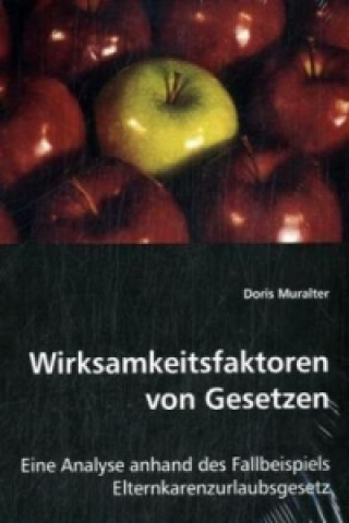 Könyv Wirksamkeitsfaktoren von Gesetzen Doris Muralter