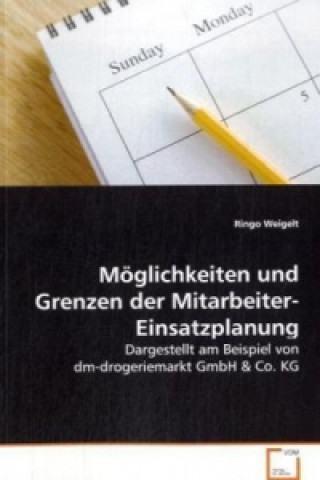 Kniha Möglichkeiten und Grenzen der Mitarbeiter-Einsatzplanung Ringo Weigelt