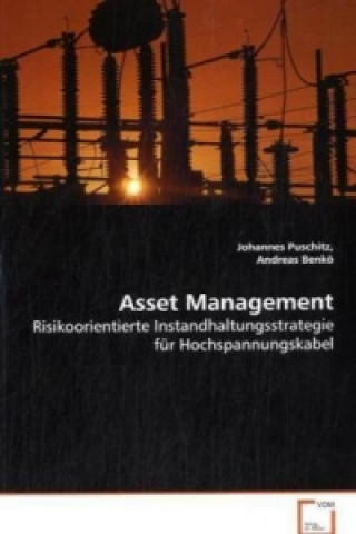 Könyv Asset Management Johannes Puschitz