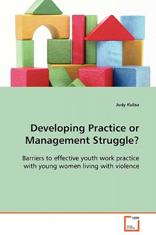 Knjiga Developing Practice or Management Struggle? Judy Kulisa