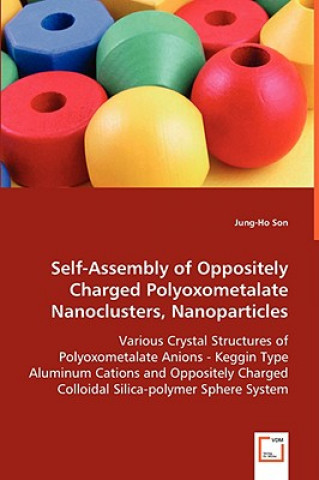 Kniha Self-Assembly of Oppositely Charged Polyoxometalate Nanoclusters, Nanoparticles Jung-Ho Son