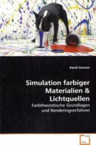 Könyv Simulation farbiger Materialien David Gossow