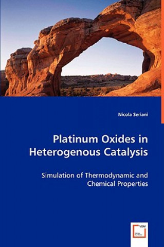 Kniha Platinum Oxides in Heterogenous Catalysis Nicola Seriani