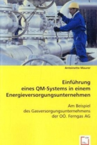 Kniha Einführung eines QM-Systems in einem Energieversorgungsunternehmen Antoinette Maurer