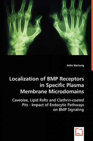 Livre Localization of BMP Receptors in Specific Plasma Membrane Microdomains Anke Hartung