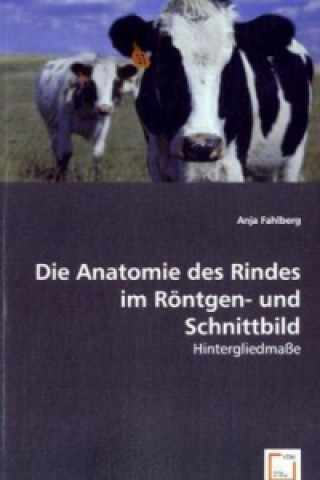 Kniha Die Anatomie des Rindes im Röntgen- und Schnittbild Anja Fahlberg