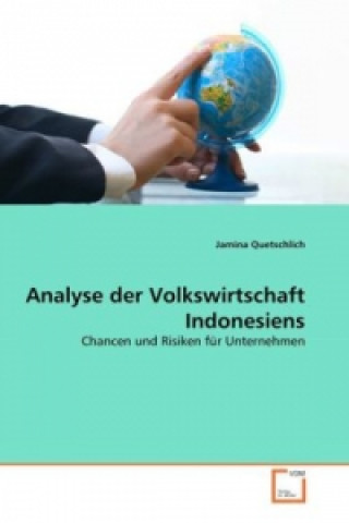 Kniha Analyse der Volkswirtschaft Indonesiens Jamina Quetschlich